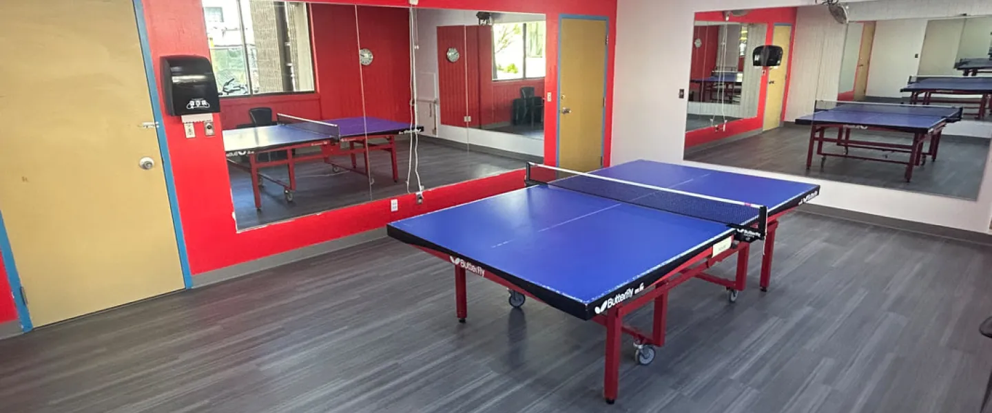 Ping Pong Room