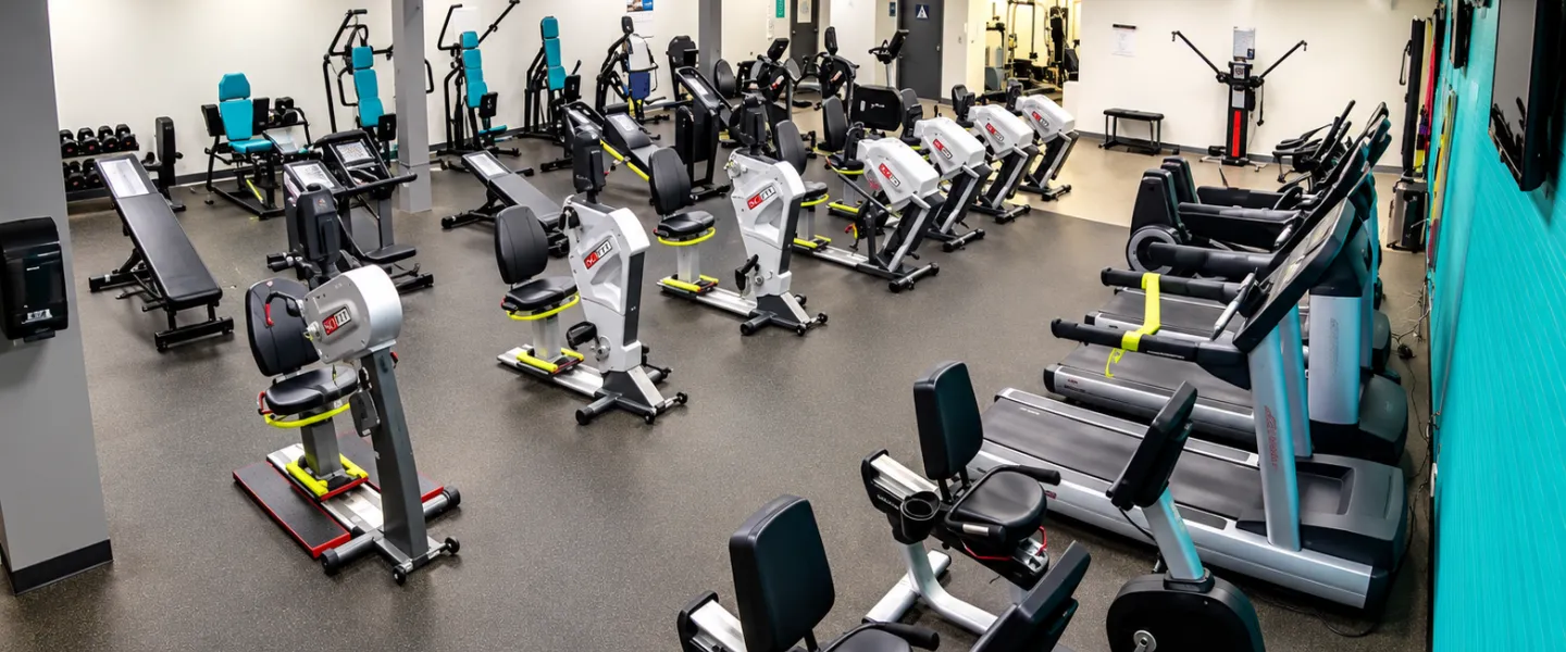 Healthy Lifestyles Studio