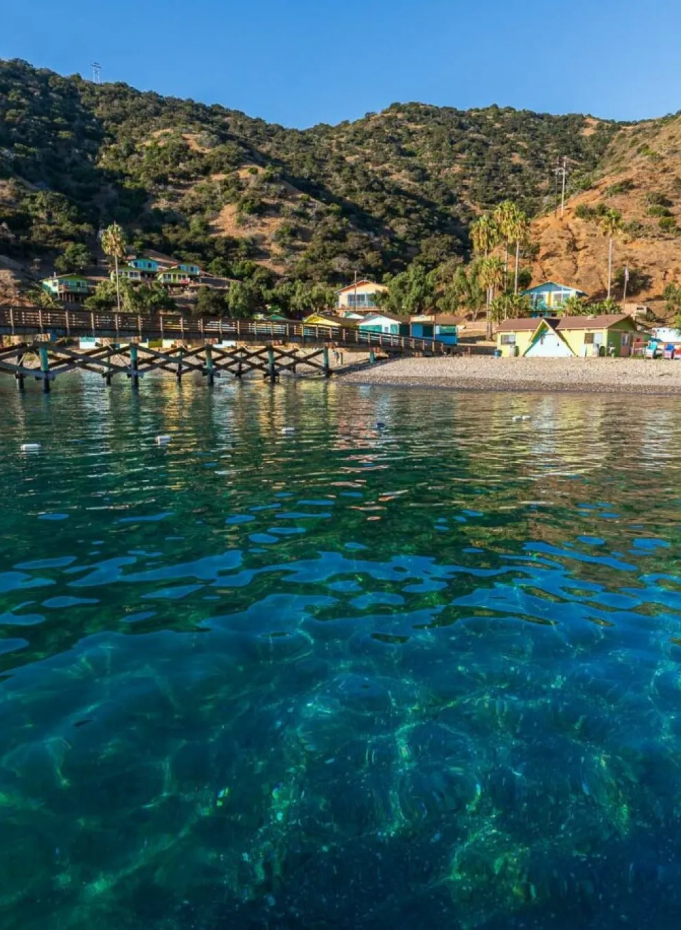 picture of camp fox from the ocean