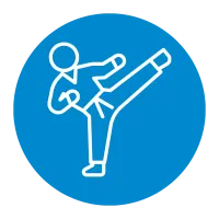 Karate Icon