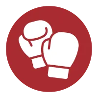 boxing icon